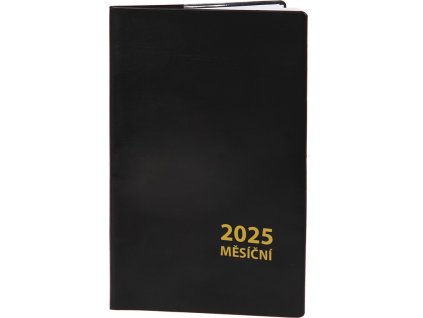 DMM154
