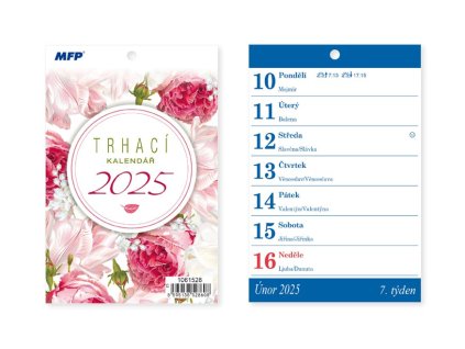 Nástěnný kalendář A6 trhací 2025