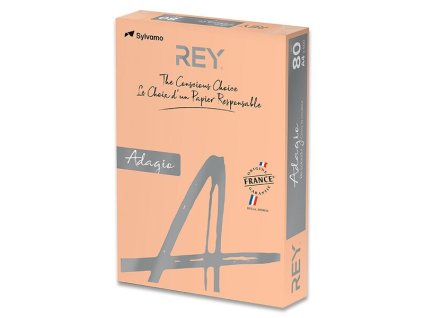 Papír barevný A4 lososový 80g/m2 pastel