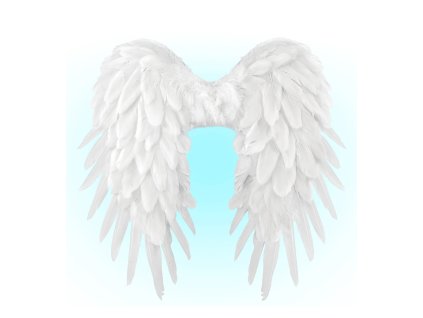 Andělská křídla, bílá, 50x50cm péřová