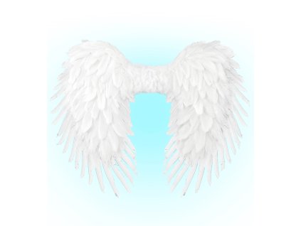 Andělská křídla, bílá, 80x60cm péřová