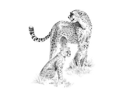Skicování předlohy Leopard + tužky sada