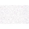 mosguma glitr 2 mm, A4 bílá glitr