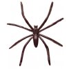 Pavouček - černý 1ks