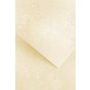 Karton, ozdobný papír Floral ivory 220g