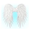 Andělská křídla, bílá, 50x50cm péřová