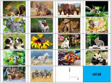 Pohlednice 3D obrázek 11 x 16cm zvířáta 076B - 18 ks