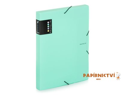 Krabice PP s gumou A4 PASTELINI zelená 2-577