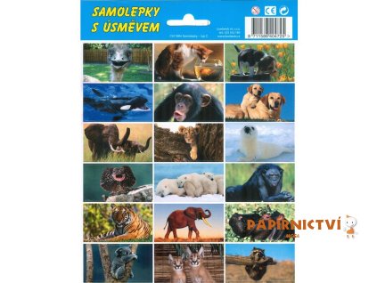 1b2d624e2f49890a683a5f9811a8d1f1 mm2000x2000