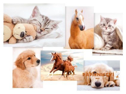 Pohlednice sr Z040BUV 1230329