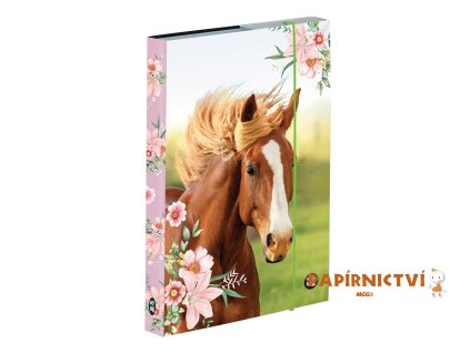 Box na sešity A5 kůň 3-77123