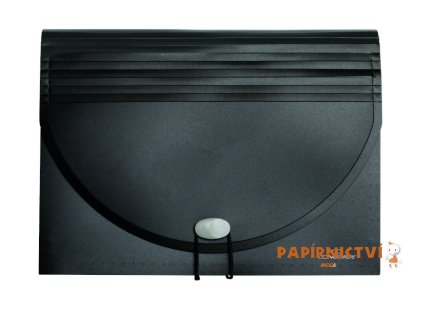 Organizér na dokumenty CONCORDE s gumou, 25 kapes A80190