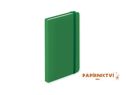 Poznámkový blok KINELIN - zelený