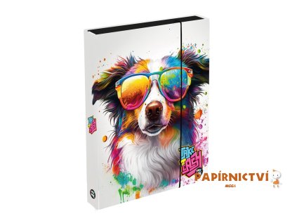 Box na sešity A4 Jumbo Pes 1-46825