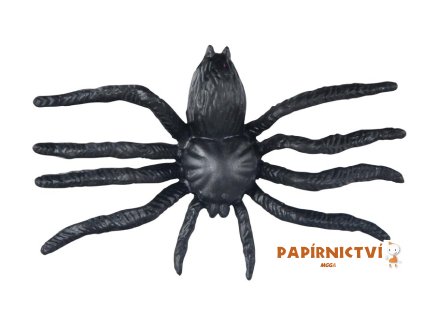 Pavouk plast 6cm 6pcs černý 1042557
