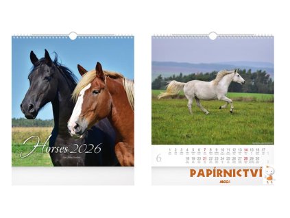 Kalendář 2026 nástěnný malý Horses 1061636