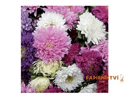 Ubrousek P 33x33 celorok SPM712182 2011164