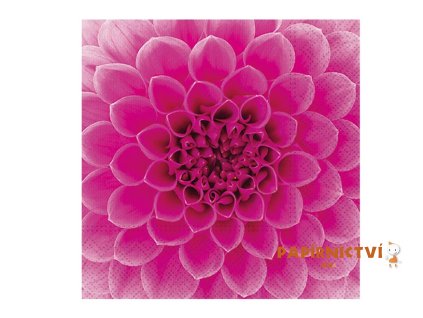 Ubrousek P 33x33 celorok SDL896013 2011175