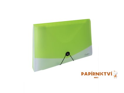 Organizér na dokumenty s gumou A4 Opaline čirá-zelená 13kapes 2-489