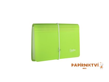 Organizér na dokumenty s gumou DL Opaline čirá-zelená 13kapes 2-491