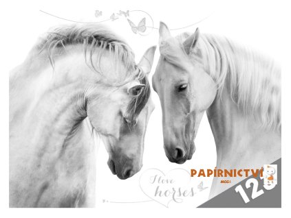 Desky na číslice MFP Koně 8021004