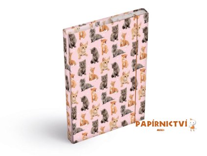 Desky na sešity MFP box A5 Kočky 8021031