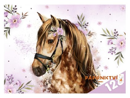 Desky na číslice MFP Kůň 8021039