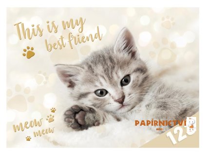 Desky na číslice MFP Kočka 8021040