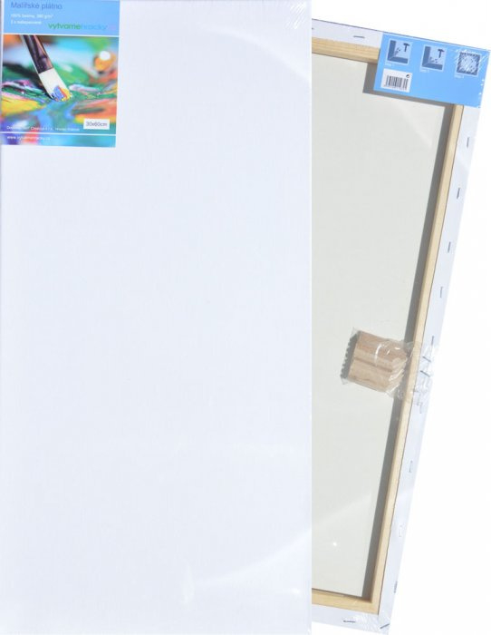 Malířské plátno 30x60cm