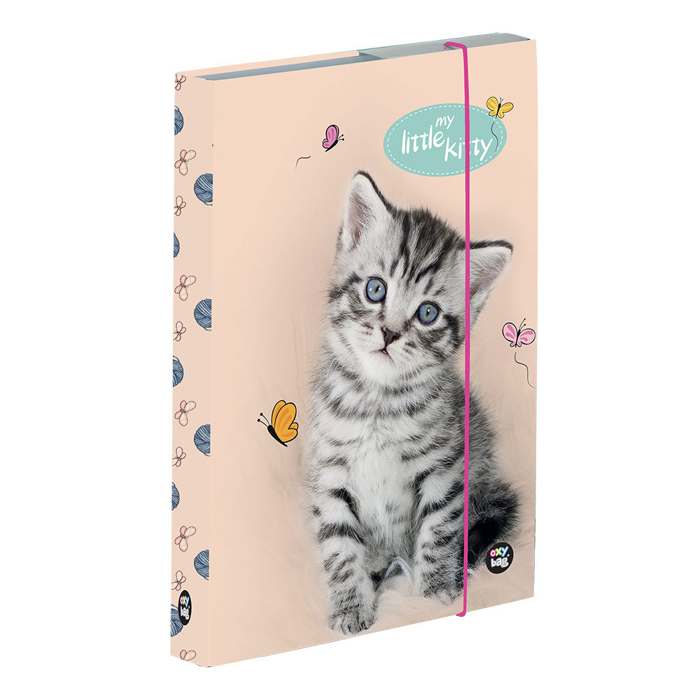 Box na sešity A5 Kočka 3-77023