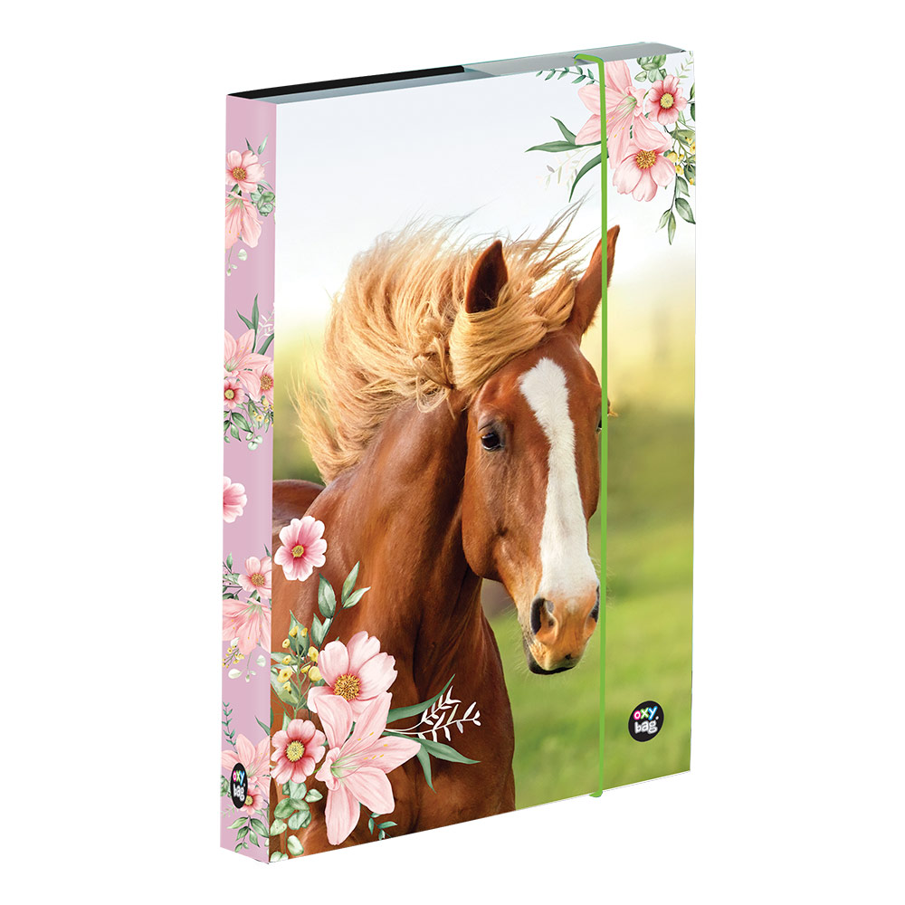 Box na sešity A5 kůň 3-77123