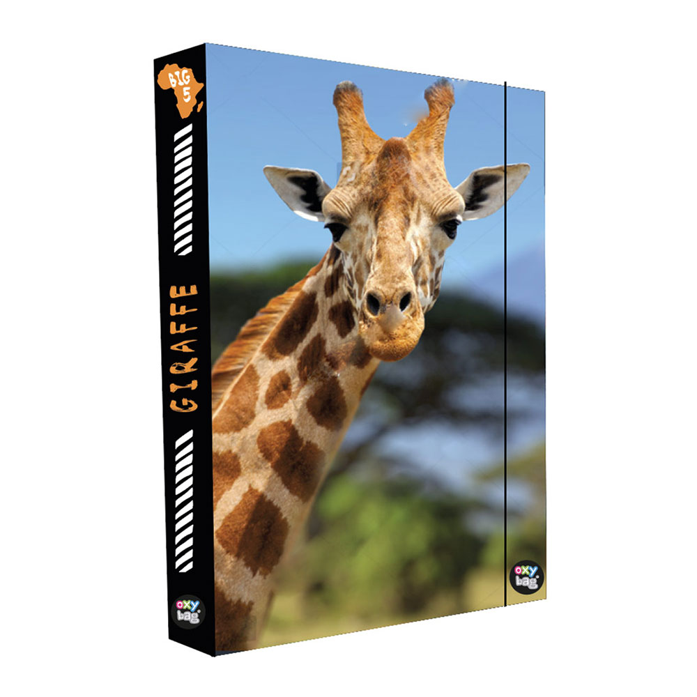 Fotografie Box na sešity A4 Jumbo Žirafa