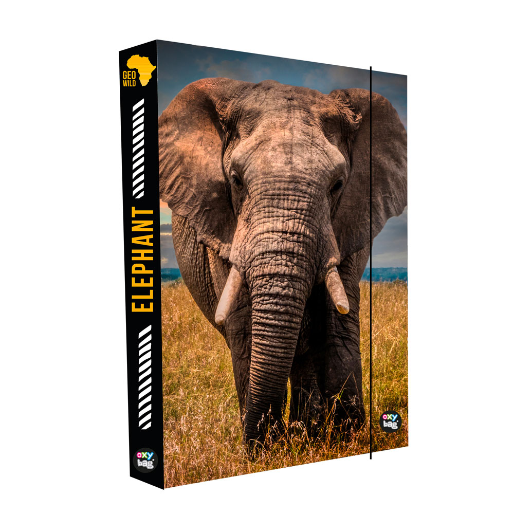 Fotografie Box na sešity A4 Jumbo Slon 1-44623