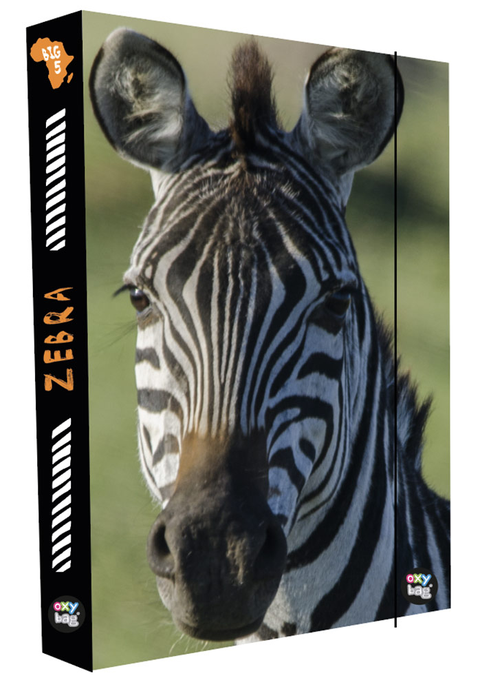 Fotografie Box na sešity A4 Jumbo Zebra 8-76923