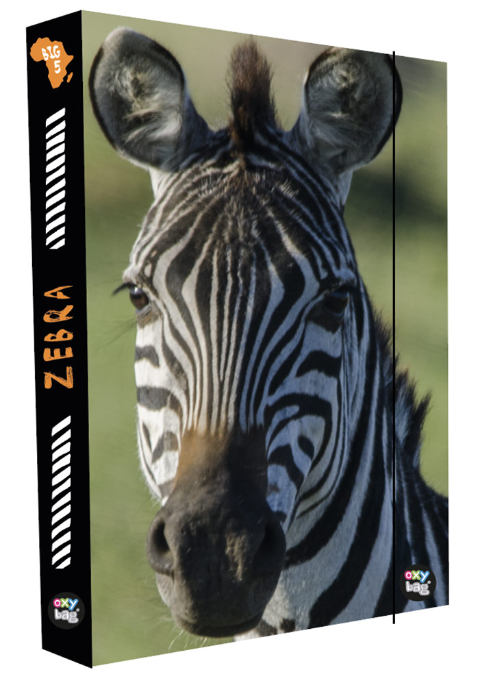 Fotografie Box na sešity A4 Jumbo Zebra