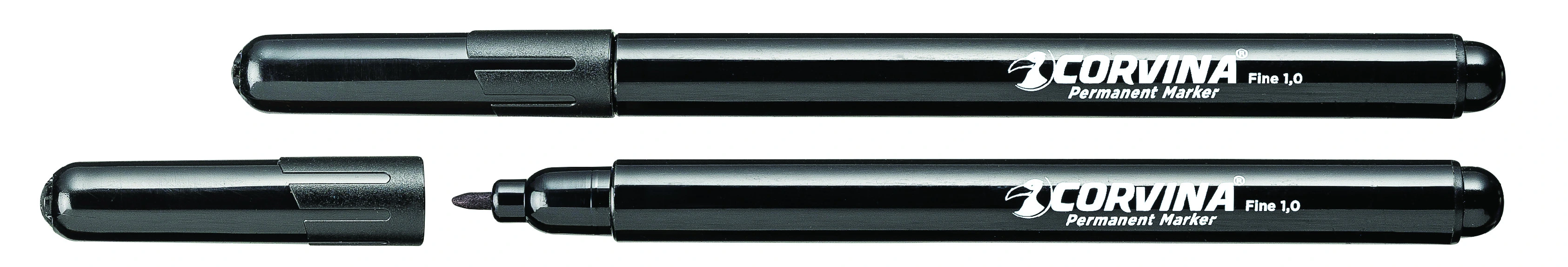 Fotografie Permanentní popisovač CARIOCA 1mm - modrý