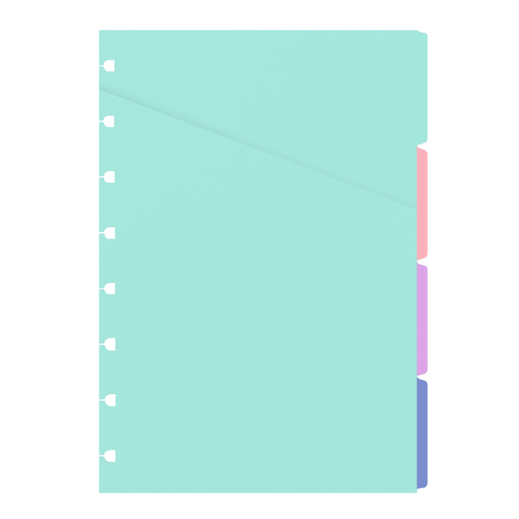 Filofax Notebook, rozřazovač, pastelové barvy, A5