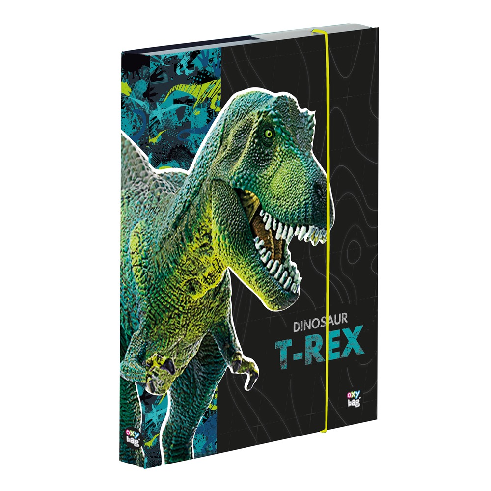 Fotografie Box na sešity A4 Premium Dinosaurus