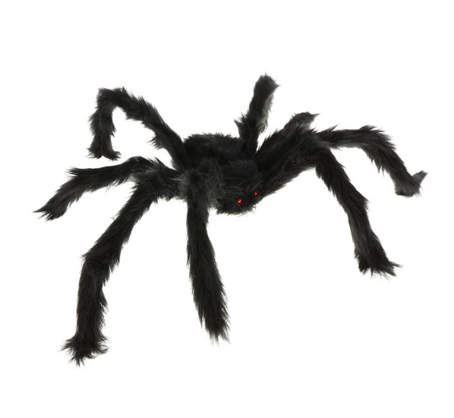Pavouk velký, 60 cm