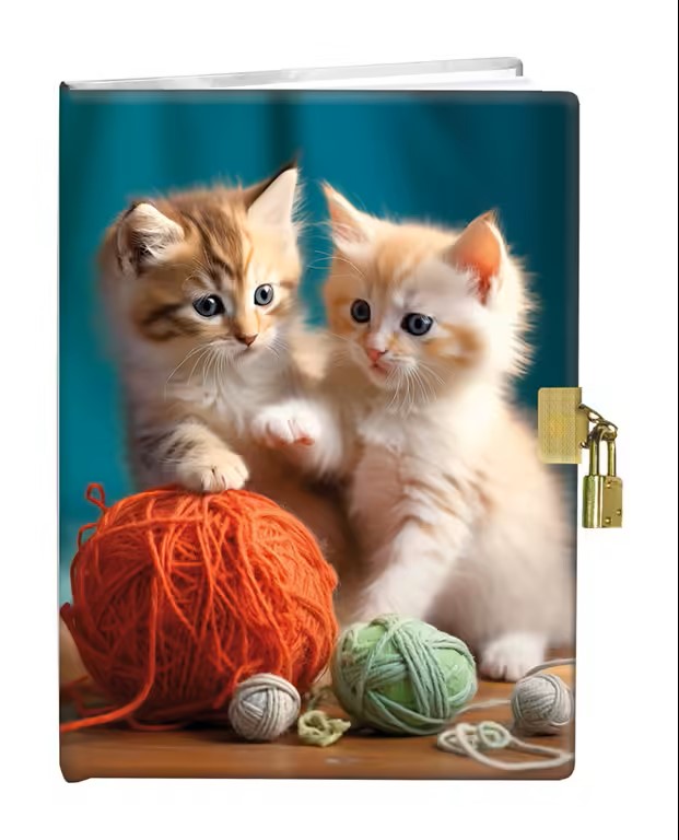 Památník 13x18cm se zámkem - Kittens play