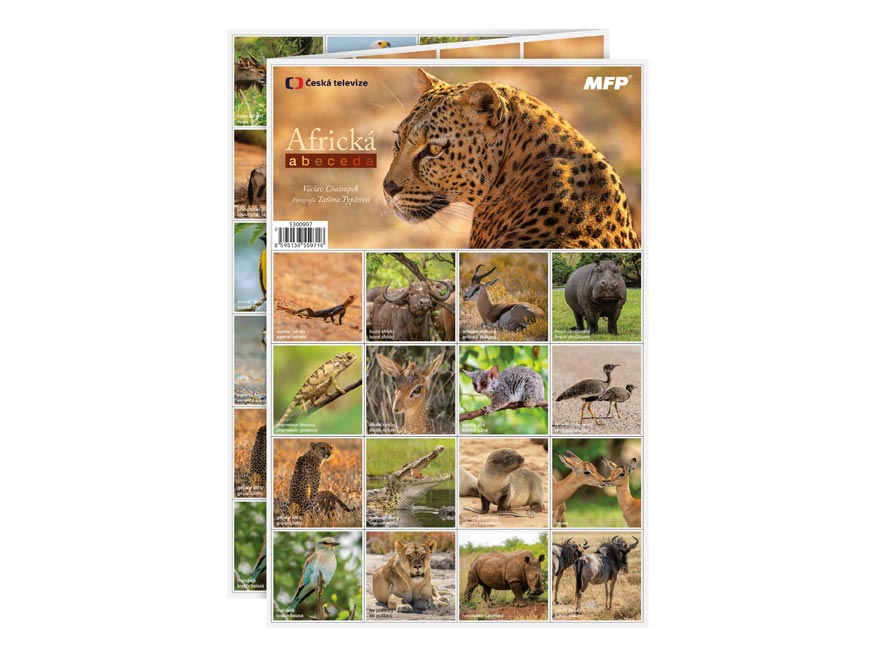 Pexeso MFP Africká ABECEDA 5300997