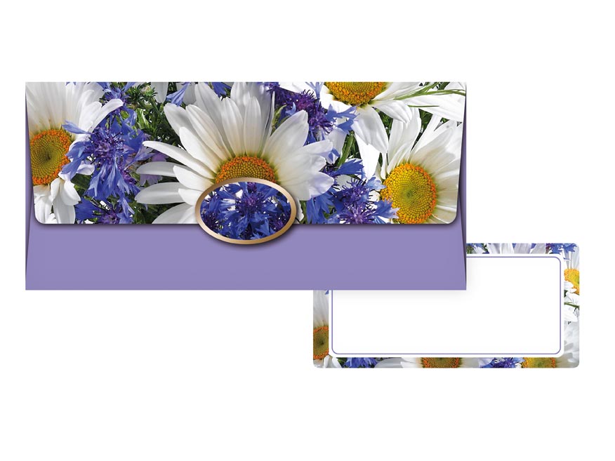 Obálka na peníze sr 55-095 5560081