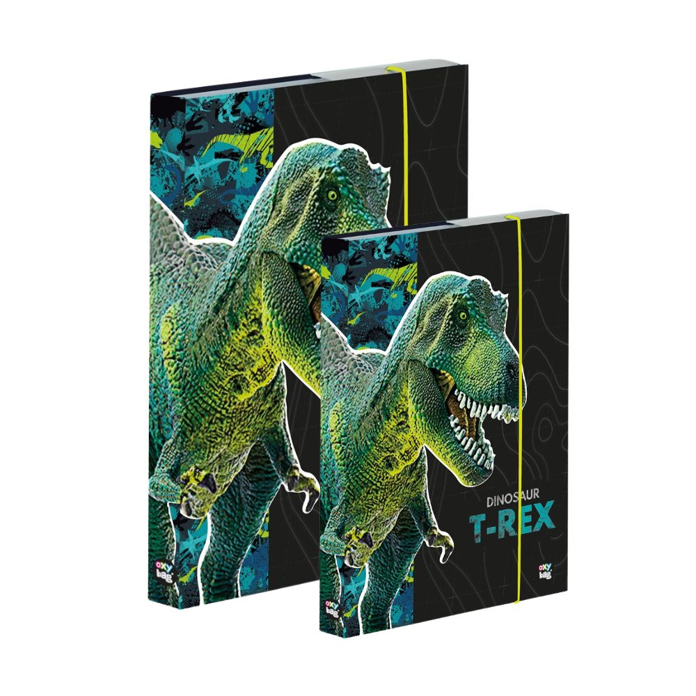 Box A4+A5 Premium Dinosaurus 0-056X25