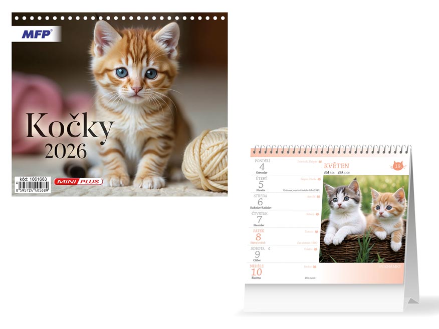 Fotografie Kalendář 2026 stolní mini Kočky 1061663