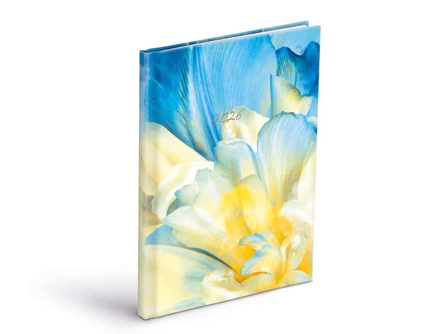 Fotografie Diář 2026 T805 Lamino 3 7781463