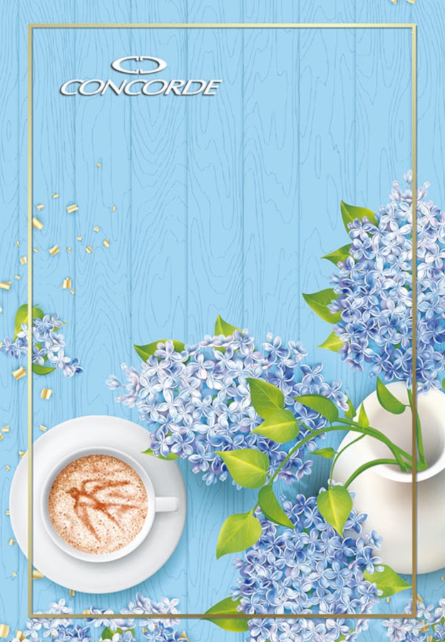 Fotografie Záznamová kniha A6 100l/96l/čtvereček, šitá 56105 A64116