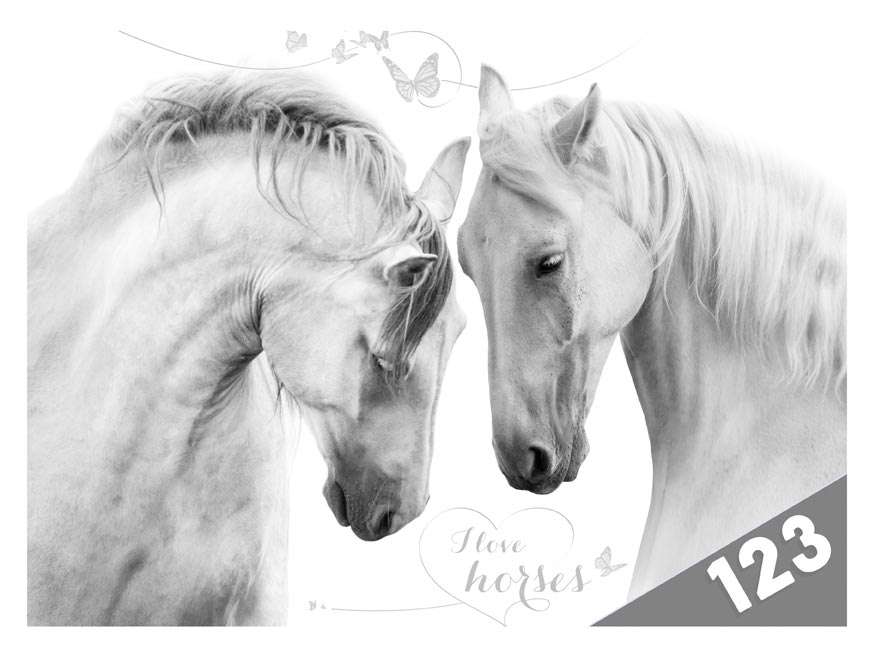 Desky na číslice MFP Koně 8021004