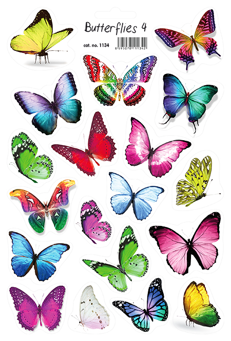 Motýli 4 - Butterflies 4