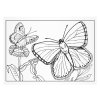 Omalovánky MFP Motýli 5300701