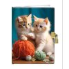Památník 13x18cm se zámkem - Kittens play